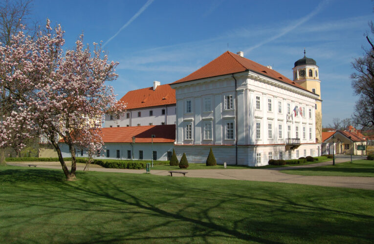 Igráček v podobě Blanického rytíře bude střežit rodinnou výstavu  na zámku Vlašim