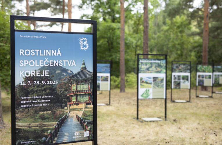 Srpen v botanické zahradě v Troji – příběhy rostlin, expedice do Jižní Koreje a akce pro milovníky vína
