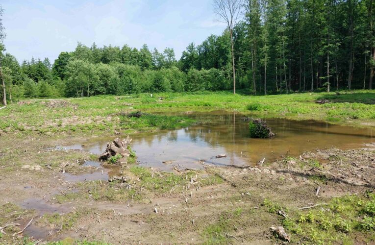 Lesy ČR vrací vodu do krajiny na Havlíčkobrodsku