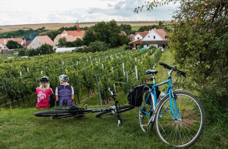 Kdy za vínem? Rozhodně v září!