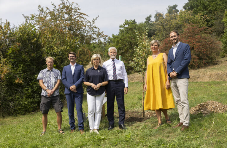 Česká republika má svou lípu v Botanické zahradě Praha.  Národní strom vysadil prezident Petr Pavel