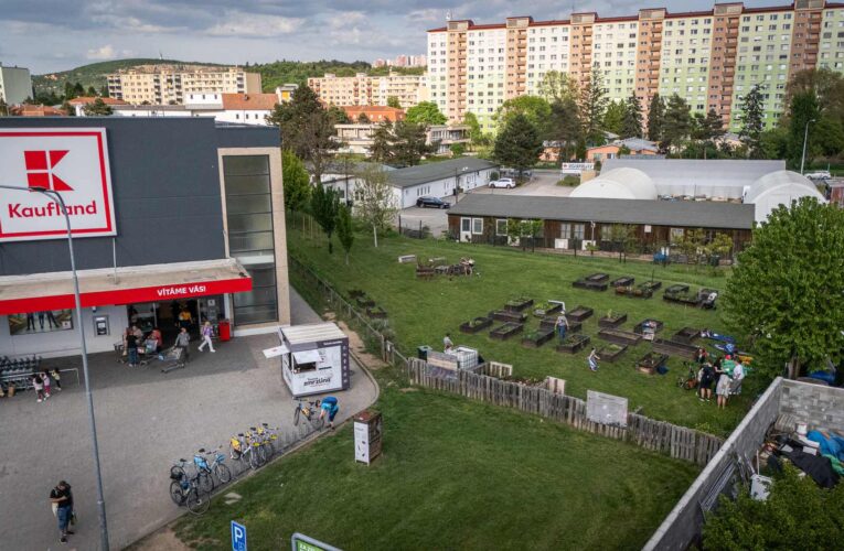 Kaufland rozdělil již 12 500 000 Kč na komunitní projekty v rámci celé České republiky