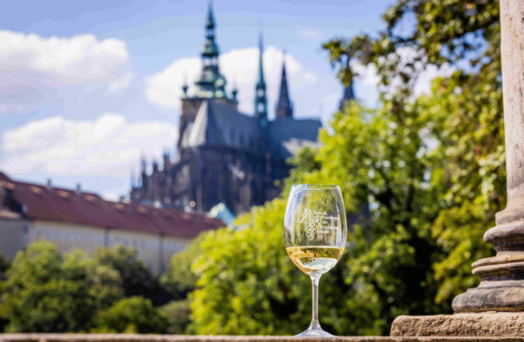 Pražský hrad chystá na začátku září vinobraní