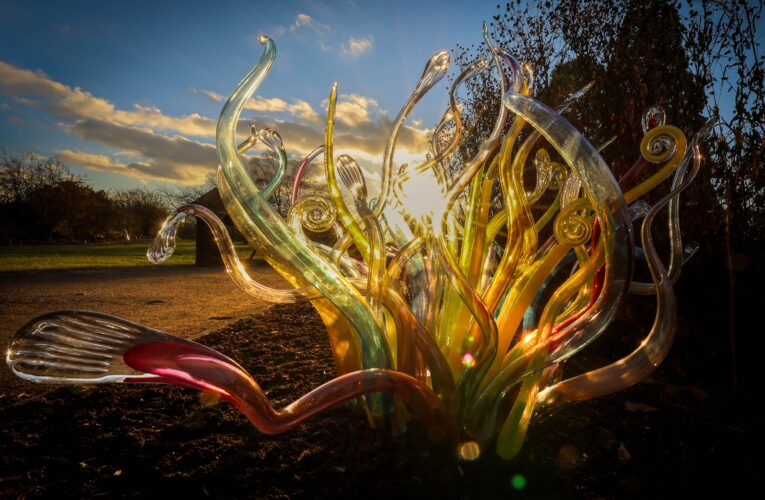 V Troji se opět rozzáří Křišťálová zahrada. Zimní expozice botanické zahrady ožijí skleněnou symfonií