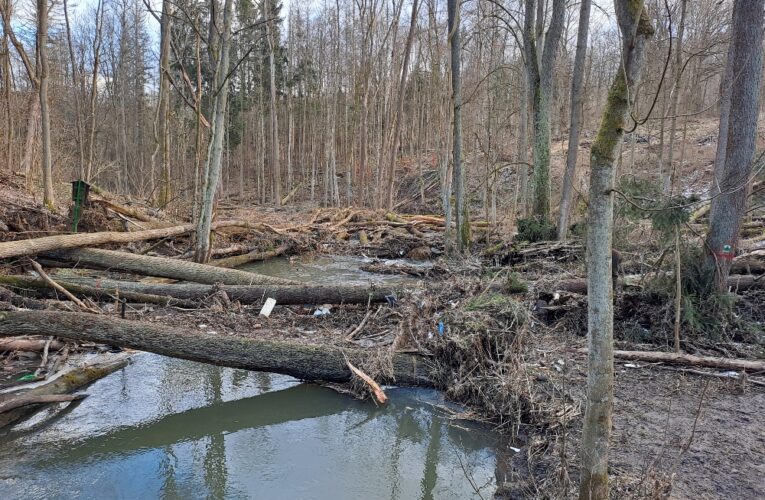 Bobří soutěska v CHKO České středohoří se od října znovu otevře veřejnosti