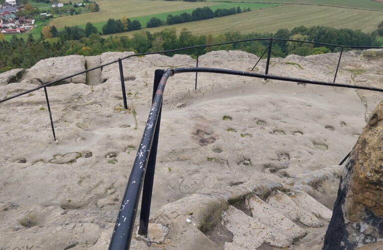 Záchranný projekt dnes zahájily v Drábských světničkách Lesy ČR