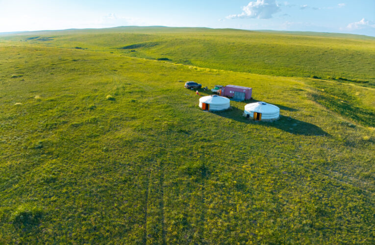 Přípravy na návrat koní Převalského do východního Mongolska