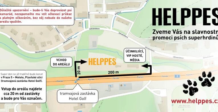 Noví čtyřnozí andělé míří k lidem s postižením. Helppes chystá SUPER DEN plný emocí a radosti