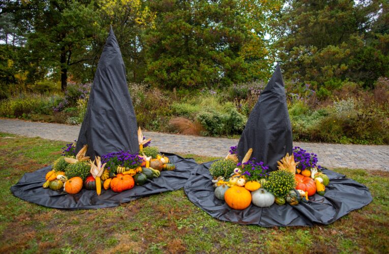 Strašidelný les plný dýní se v botanické zahradě v Troji  otevře už za měsíc