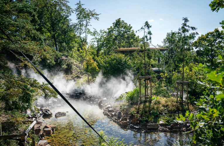 Poklady japonské přírody v Troji. Botanická zahrada Praha otevírá novou expozici Japonské mlžné lesy