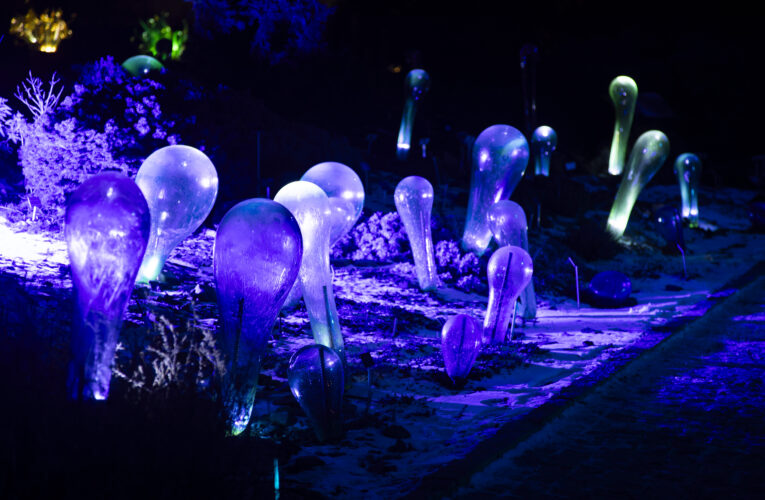 Křišťálovou zahradu v Troji rozzáří světla, videomapping i skleněná symfonie