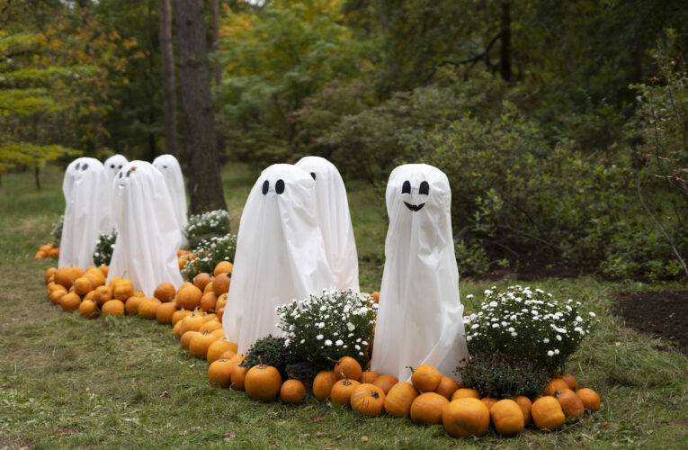 Botanická zahrada v Troji se proměnila ve strašidelný les  plný dýní