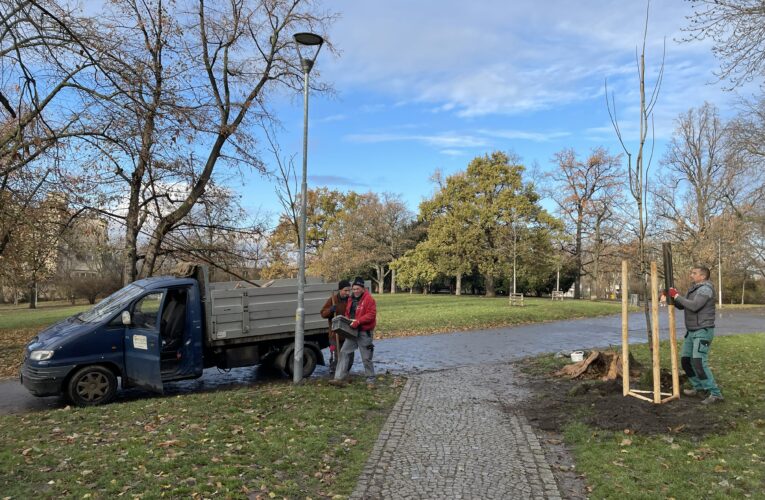 Praha 2 vysadí v parcích 31 nových stromů