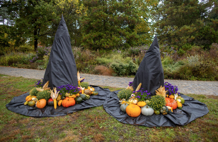 Botanická zahrada v Troji se už za týden promění  ve strašidelný les plný dýní