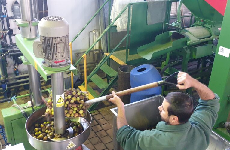 Úroda, která mění krajinu