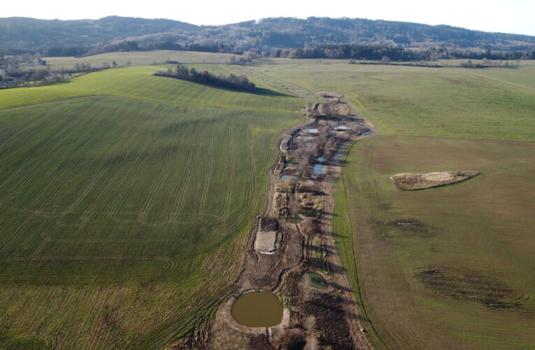 Na Tachovsku vytvořily Lesy ČR soustavu tůní a vrátily do krajiny vodu