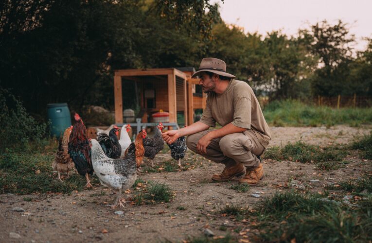 Už tento pátek se můžete těšit na další díl doku-seriálu Farma Vojty Kotka, a to 28. 11. ve 20.15 na Primě.