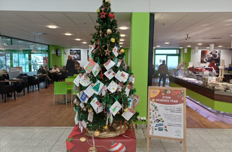 Globus opět rozzáří Stromy splněných přání: Díky nim uděláte radost dětem i seniorům