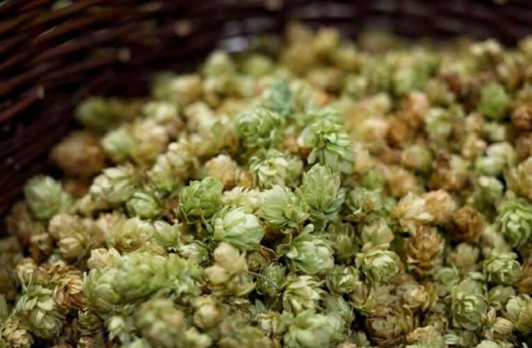 Bernard uvařil dva speciály na svátky