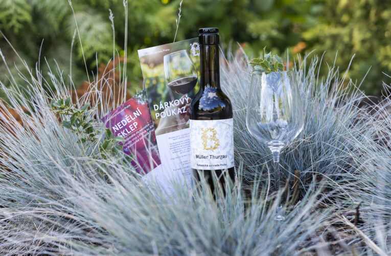 Vánoční nadílka z Botanické zahrady Praha