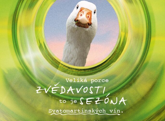 Svatomartinská vína 2025