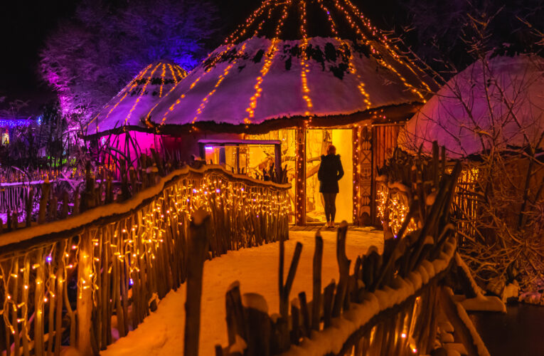 V Zoo Hluboká rozsvítili veverku. Adventní světelná akce láká již popatnácté