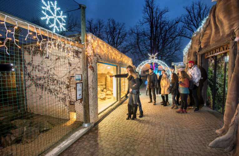 Nasvícená Zoo Hluboká bodovala. Opět aspiruje na nejnavštěvovanější turistický cíl v Jihočeském kraji