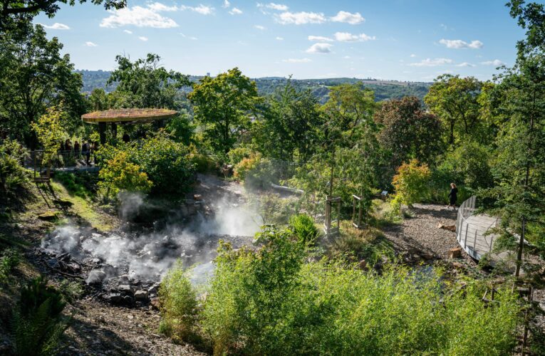 Botanická zahrada Praha uzavírá úspěšnou sezónu 2025 a vstupuje do roku 2026 s novými projekty a vizemi