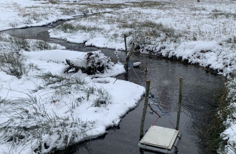 Novinka: Inkubační boxy s jikrami pstruhů instalovali vodohospodáři  ve dvou potocích na Frýdlantsku