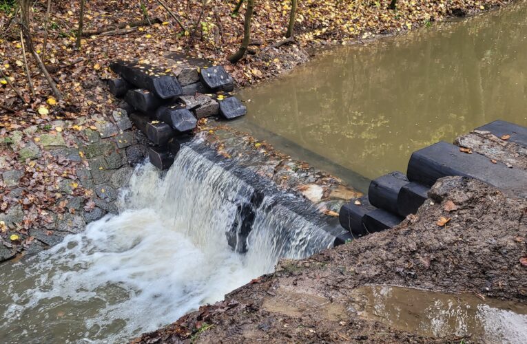 Protipovodňové přehrážky obnovily v Bohdašínském potoce na Náchodsku Lesy České republiky