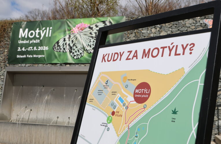 Skleník Fata Morgana se proměnil v tropický motýlí ráj. V botanické zahradě začíná výstava Motýli: Umění přežít
