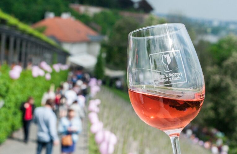 Svátek růžových vín… a bublinek promění 1. května vinice pod Pražským hradem v místo romantiky