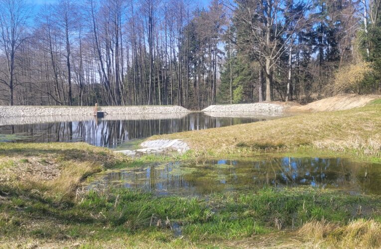 Když voda zůstává v krajině: Lesy ČR obnovily dvě nádrže v Železných horách