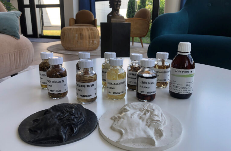 Světový den homeopatie 10. dubna