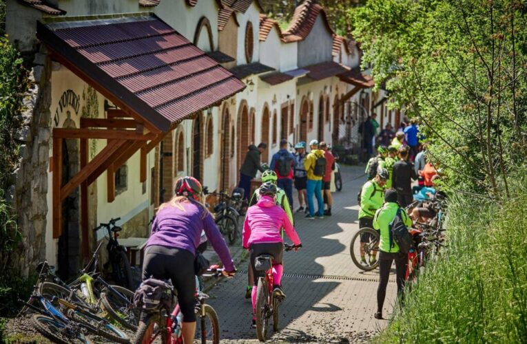 Nová vinařská stezka v srdci Slovácka