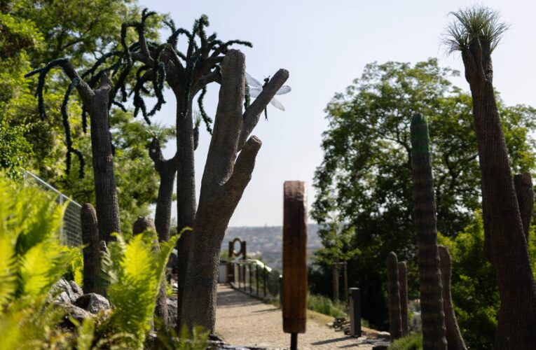 Botanická zahrada v Troji otevře novou interaktivní expozici Rostlinná odysea. Představí evoluci ve světě rostlin