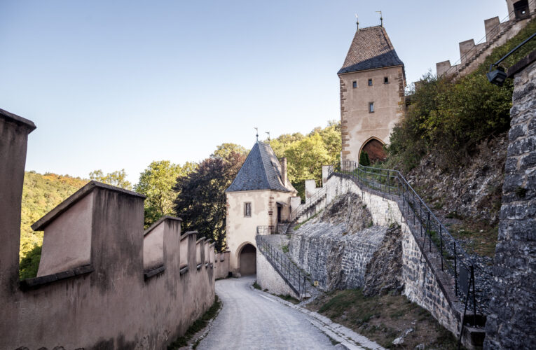 Večerní prohlídka skleníků na Konopišti