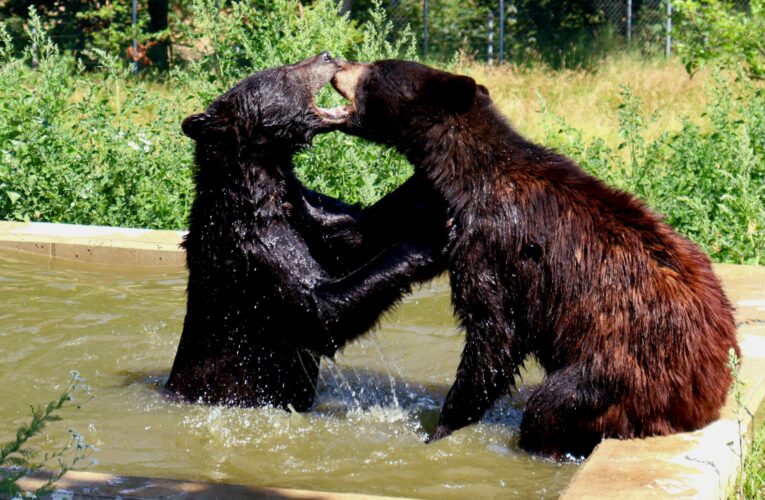 Milí přátelé naší zoologické zahrady.
