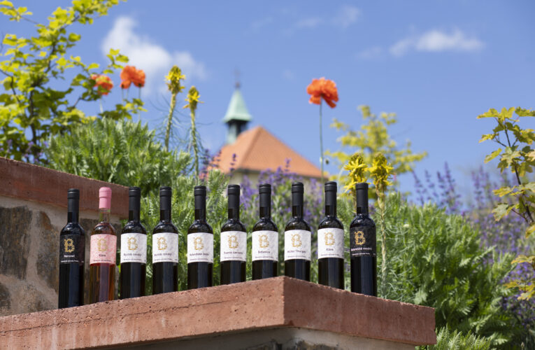 Vinobraní na Vinici sv. Kláry v Troji se koná už za měsíc. Botanická zahrada zahájila předprodej vstupenek