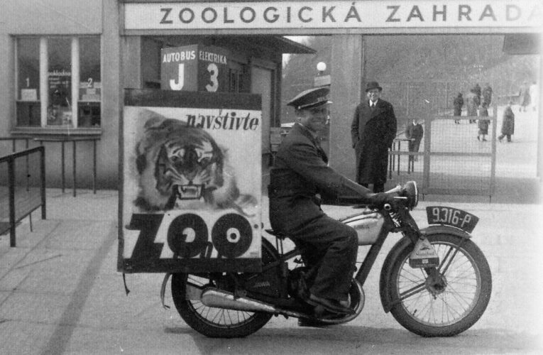 Půlkulatiny ve velkém stylu: Zoo Praha oslaví své 95. výročí