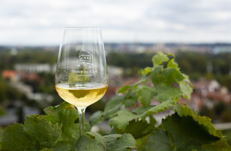 Vinobraní na Vinici sv. Kláry se blíží. Botanická zahrada Praha zve na víkend plný vína, hudby a zábavy pro velké i malé